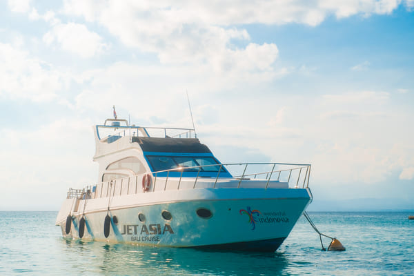 Full Day Lembongan or Nusa Penida Charter - 