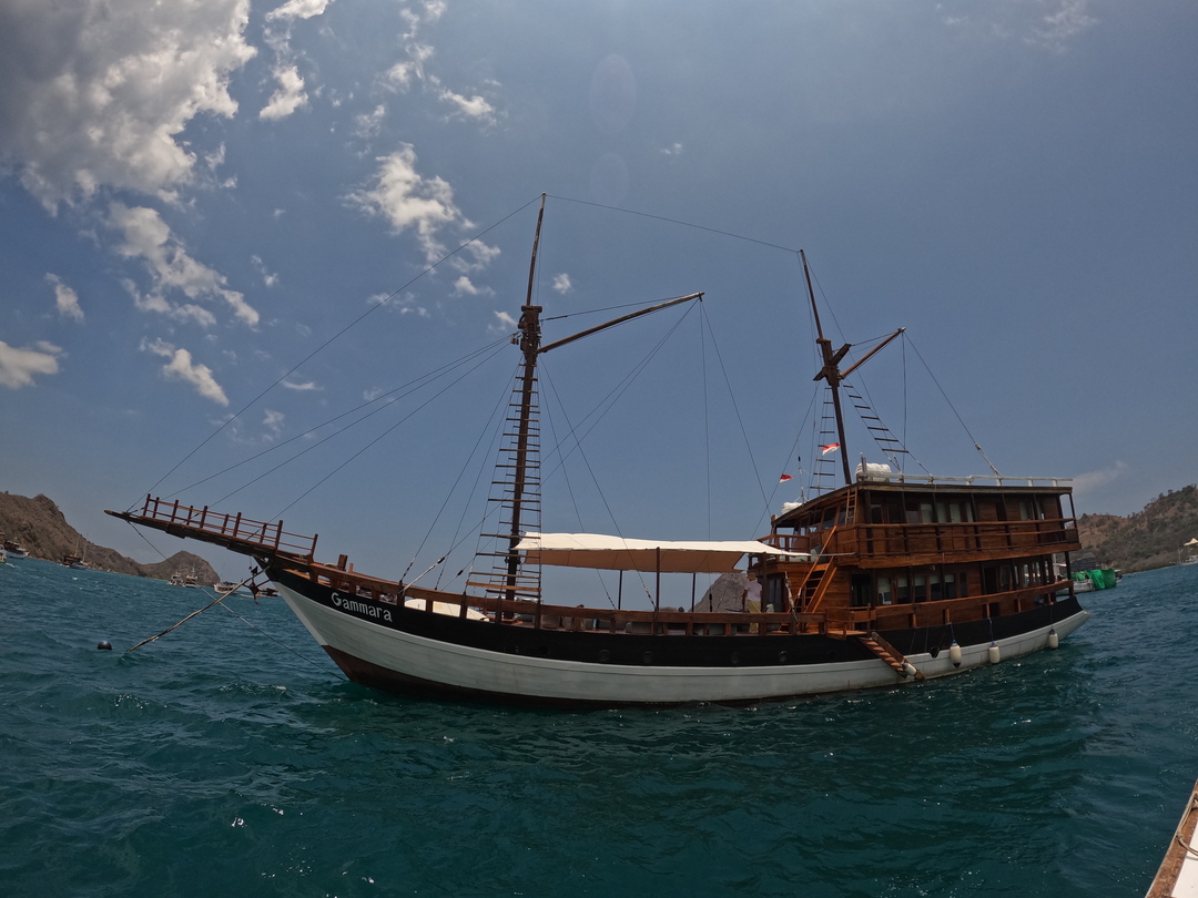 Private trip by Gammara Deluxe Phinisi - 