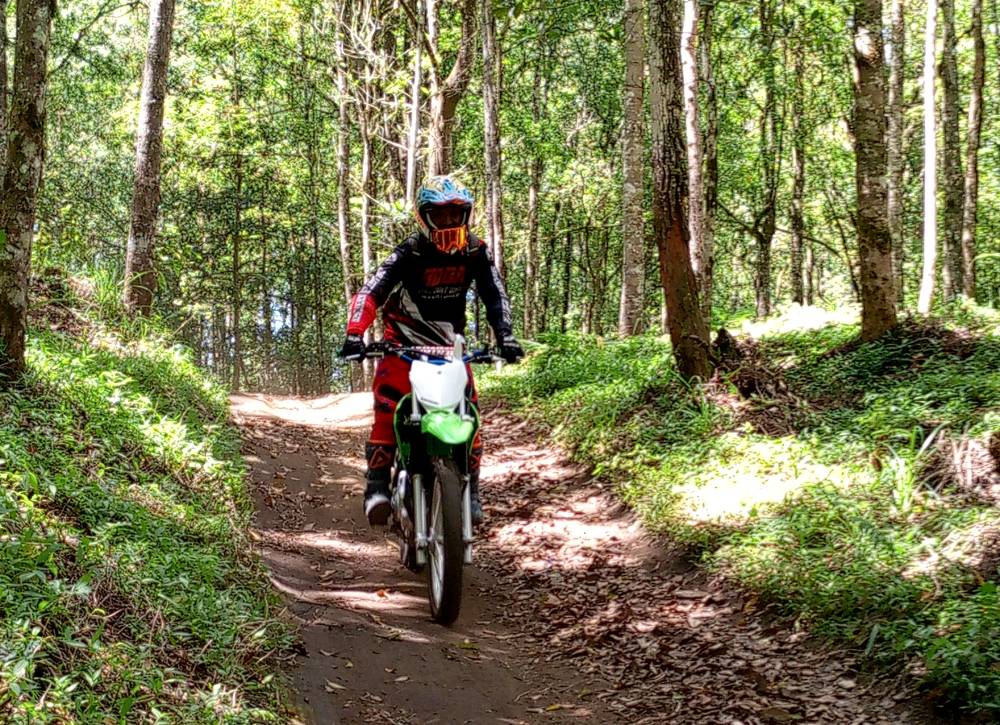 Full Day Kintamani Dense Forest Dirt Bike - 