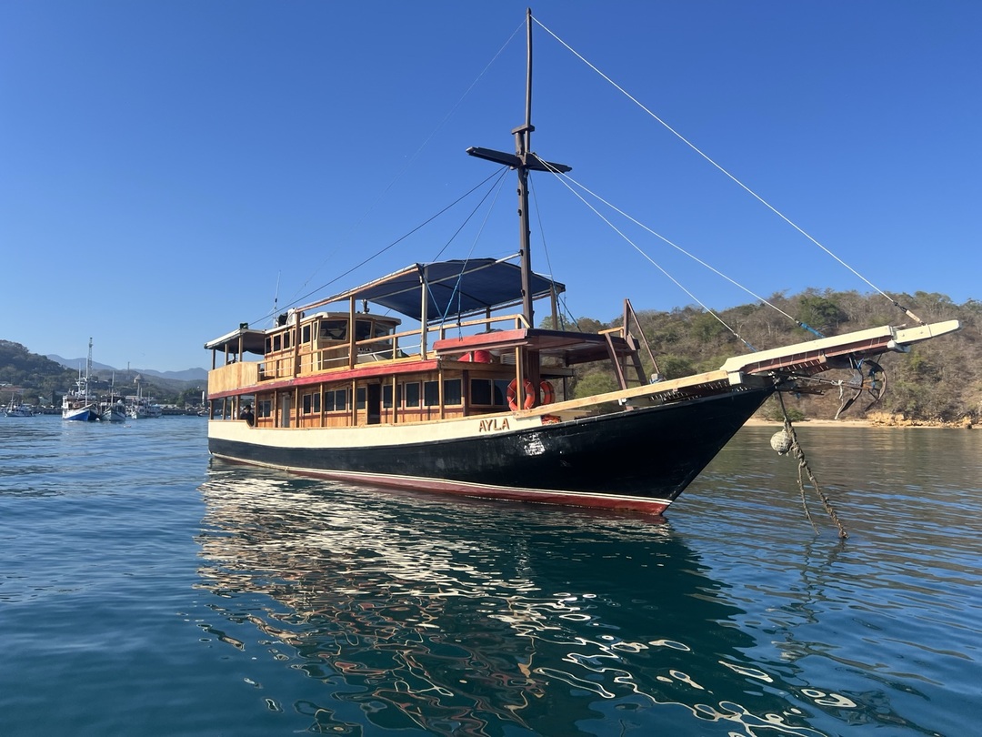Open Trips 3D2N by Ayla Liveaboard Superior Phinisi - 