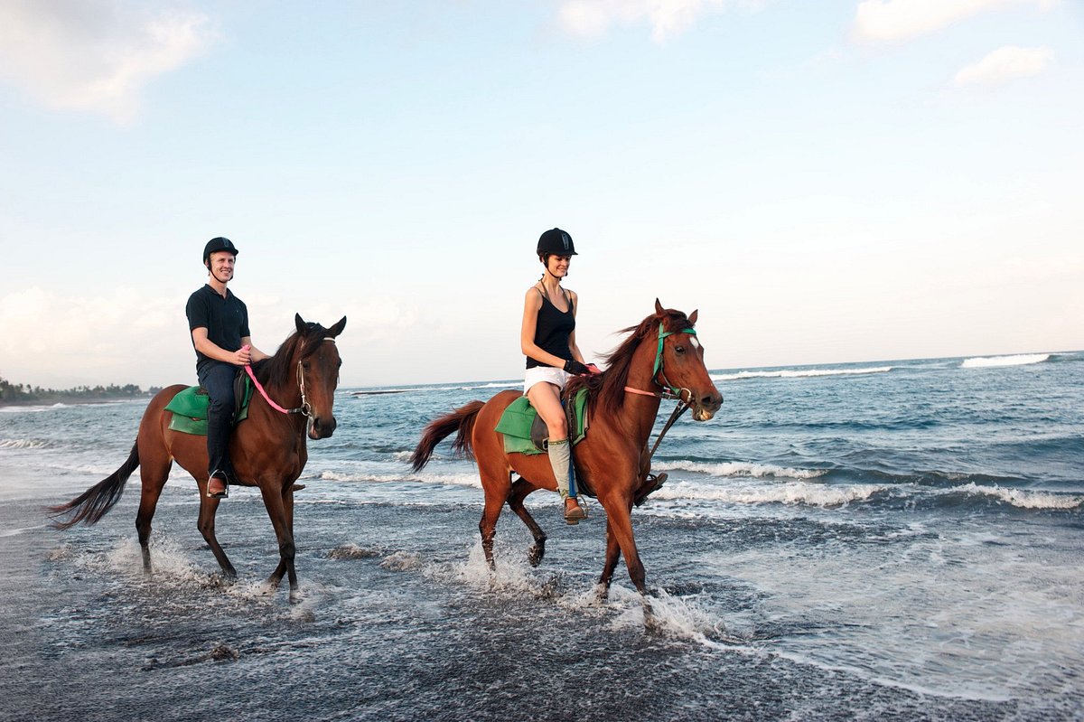 Saba Horse Riding - 