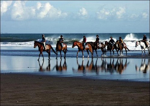 Bali Horse Riding at Pererenan - 