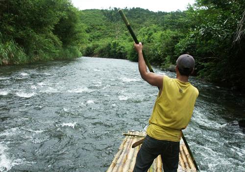 Jungle Trekking II 8 Days 7 Nights - 