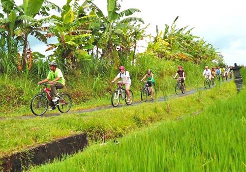 Bayan Cycling - 