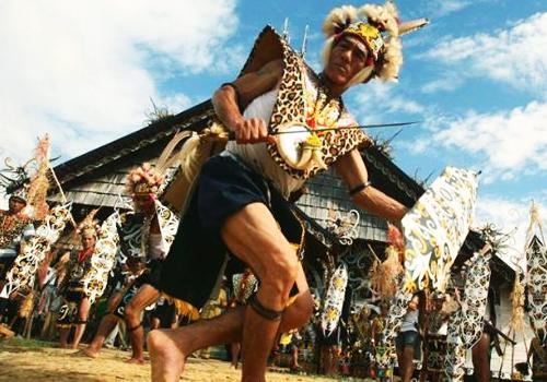 Orangutan - Dayak Tour 5 Days - 