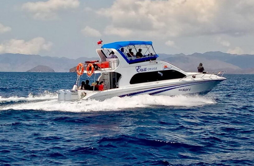 Komodo Fantastico Tour 3D/2N Sharing by Speed Boat - 