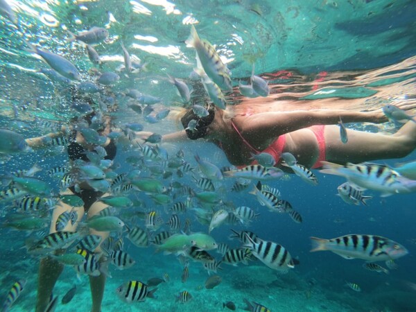 Nusa Penida and Lembongan Snorkeling Trips - 