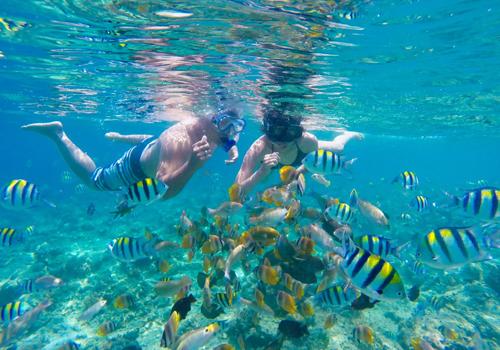 Lombok Snorkeling Tour 4 Days 3 Nights - 