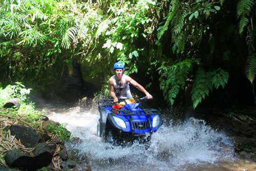 Taro ATV Adventure - 