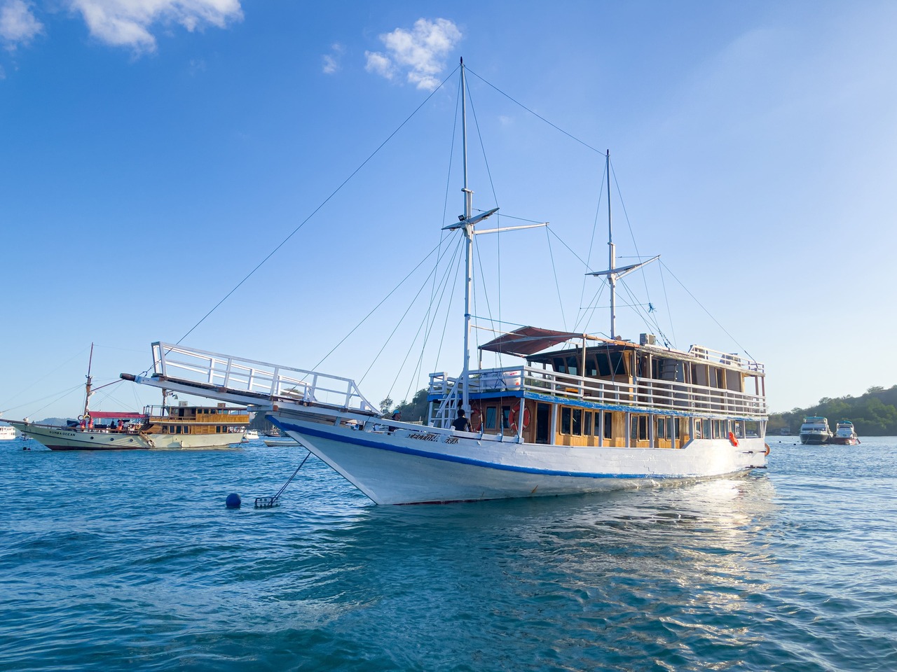 Komodo Open Trip 3D2N by Tectona Phinisi - 