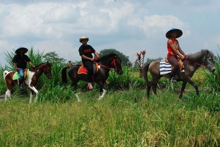 Ubud Horse Riding - 