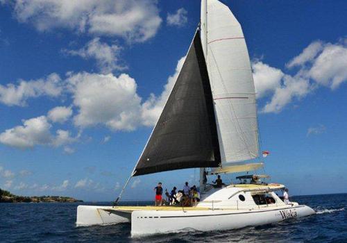 The Waka Cruises - 